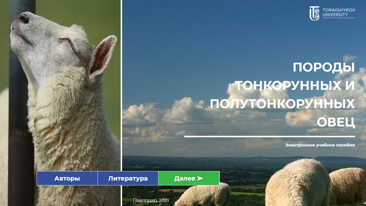 Породы тонкорунных и полутонкорунных овец