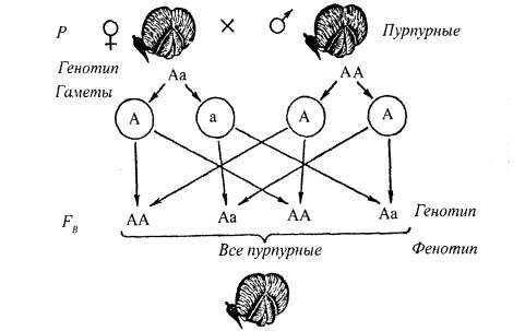 Вы точно человек?