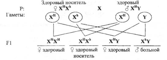 Схема наследования квартиры