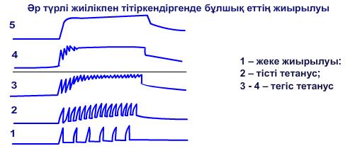 Әр түрлі жиілікпен тітіркендіргенде бұлшық еттің жиырылуы