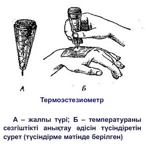 Термоэстезиометр