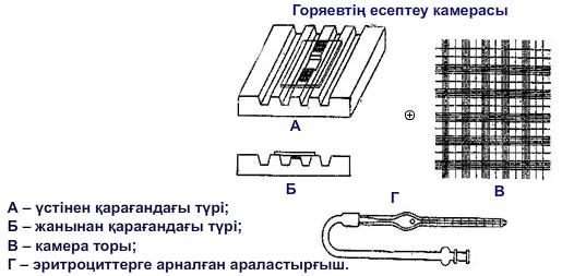 Горяевтің есептеу камерасы