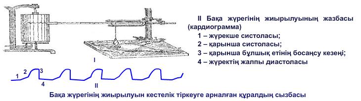 Бақа жүрегінің жиырылуын кестелік тіркеуге арналған құралдың сызбасы