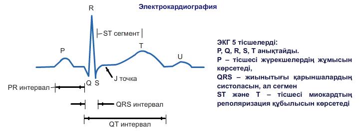 Электрокардиография