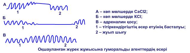 Оқшауланған жүрек жұмысына гуморальды агенттердің әсері