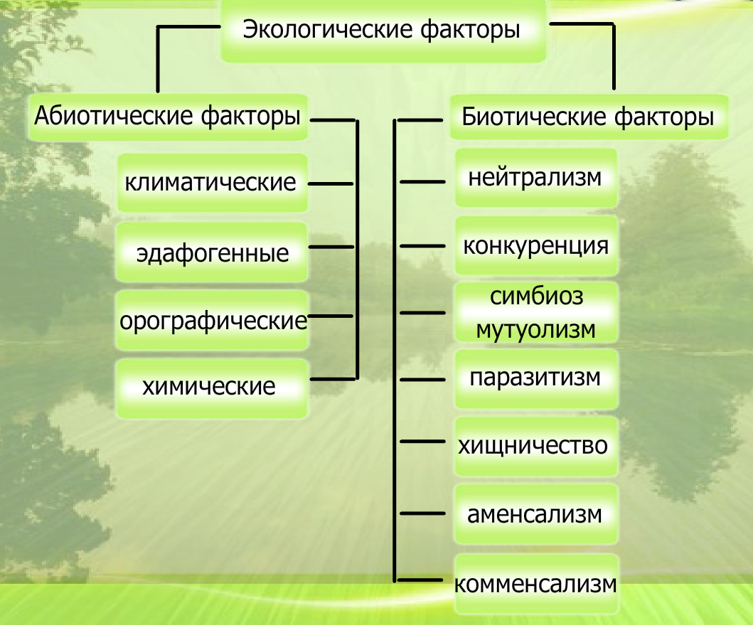 Управление специальных межвидовых исследований. Экология особей. Ассимилированы экологическими системами.