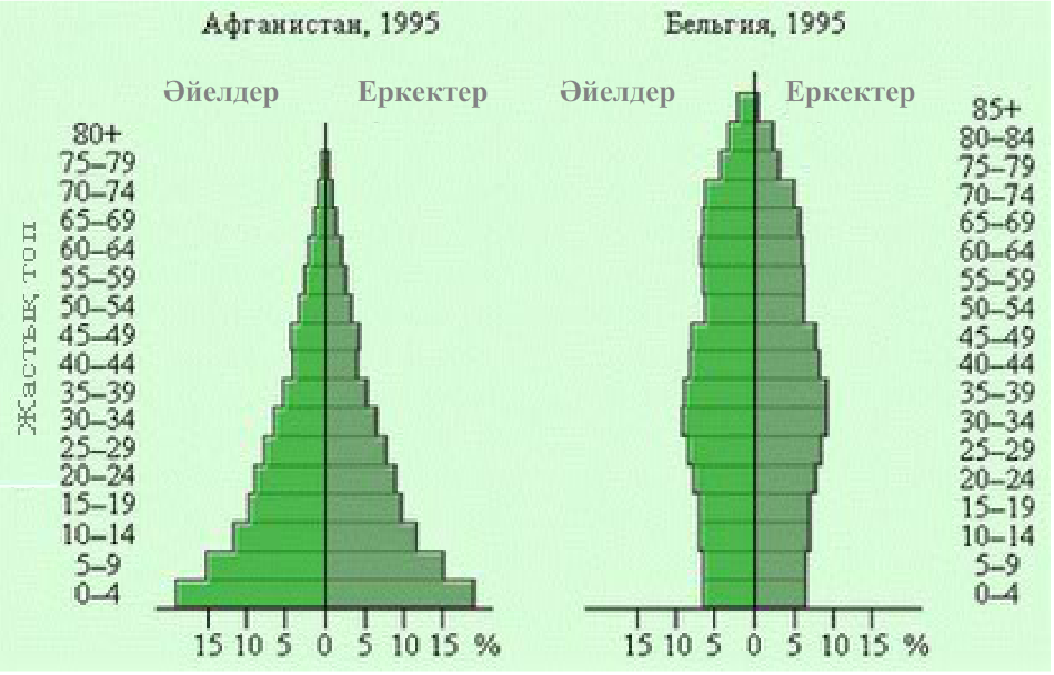 Динамика численности населения России Половозрастная пирамида. Возрастные пирамиды населения. Возрастная пирамида растущей популяции. Возрастная структура популяции.