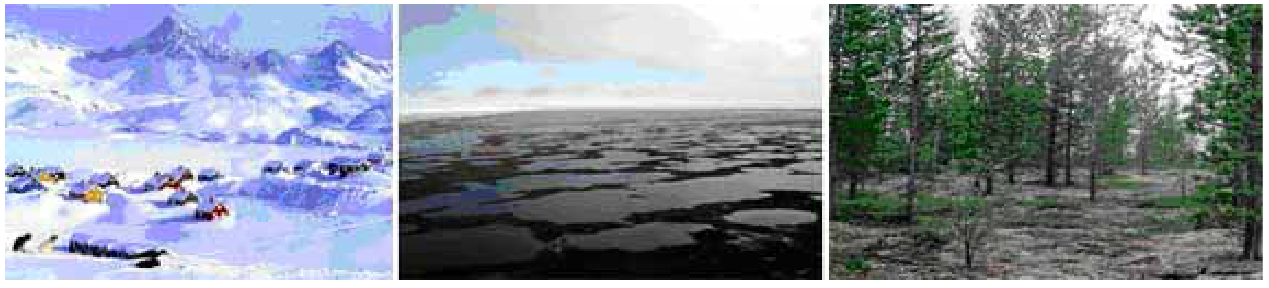 Субарктический и Субантарктический климатический пояс. Воздушные массы тундры и лесотундры. Субполярные и Полярные пояса. Природна- хозяйственная зона арктические пустыни России.