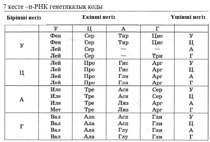 Определите последовательность участка днк впр. Генетический код аминокислот таблица. Таблица кодирования аминокислот. Генетический код таблица по биологии ЕГЭ. Аминокислоты таблица генетического кода.