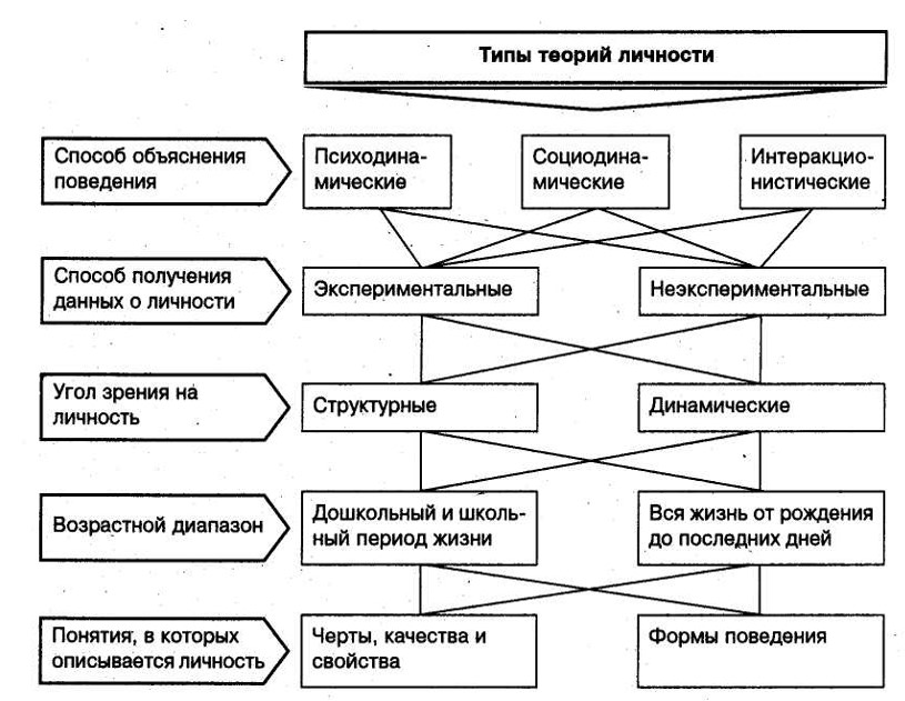 Теория развития личности Эрика Эриксона - Психологос