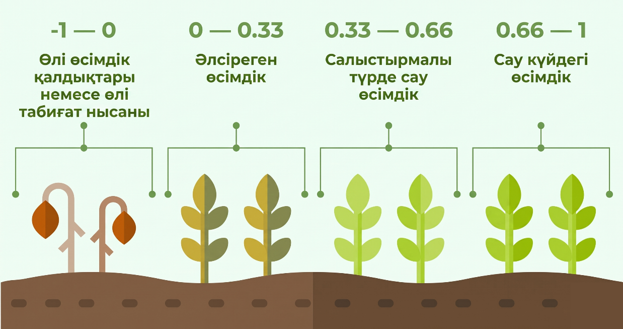 Оқу құралындағы иллюстрация